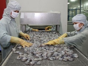 Xuất khẩu tôm tìm cách vượt khó khăn chồng chất